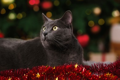 Photo of Cute cat with colorful tinsel near Christmas indoors