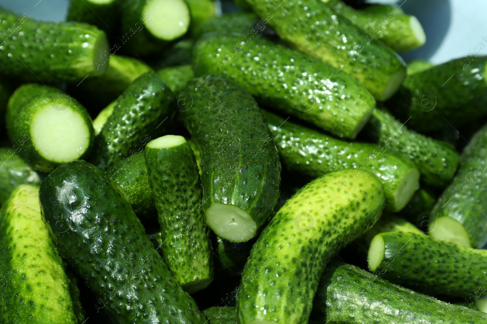 Photo of Many fresh ripe cucumbers in bowl, closeup