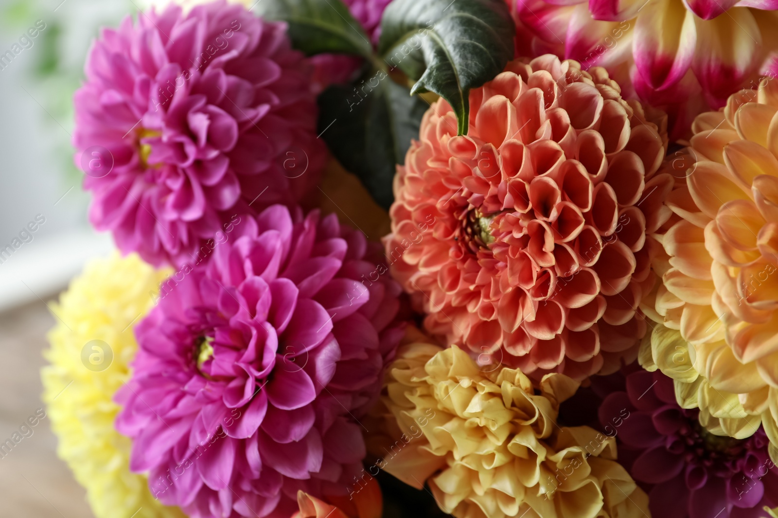 Photo of Bouquet of beautiful dahlia flowers, closeup view