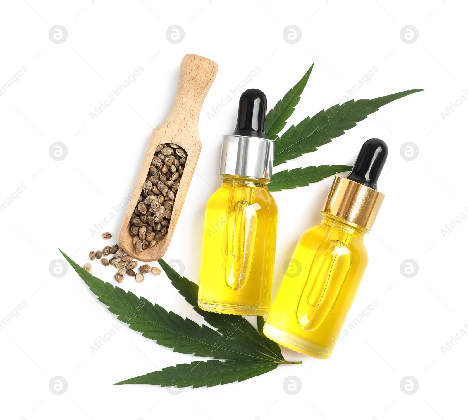 Photo of Bottles of hemp oil, leaves and seeds on white background, top view