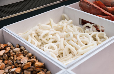 Photo of Containers with different seafood on display, closeup. Wholesale market