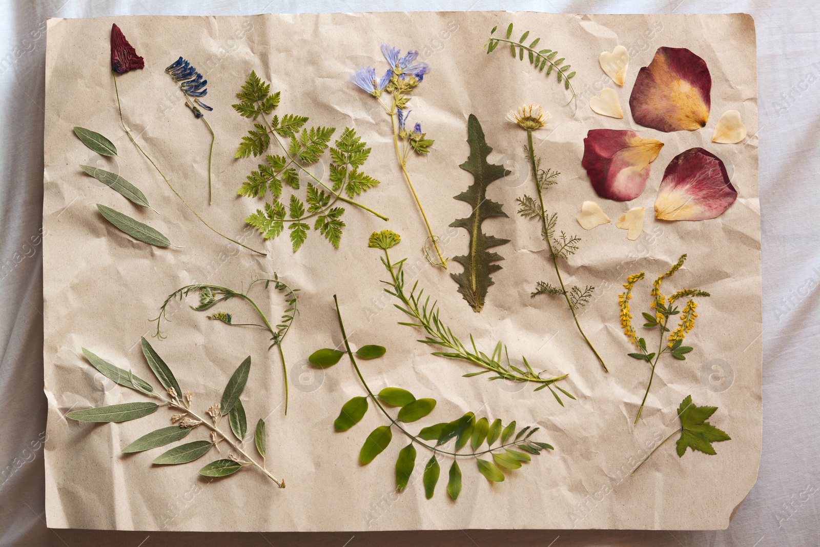 Photo of Sheet of paper with dried flowers and leaves on white fabric, top view