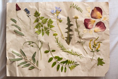 Photo of Sheet of paper with dried flowers and leaves on white fabric, top view