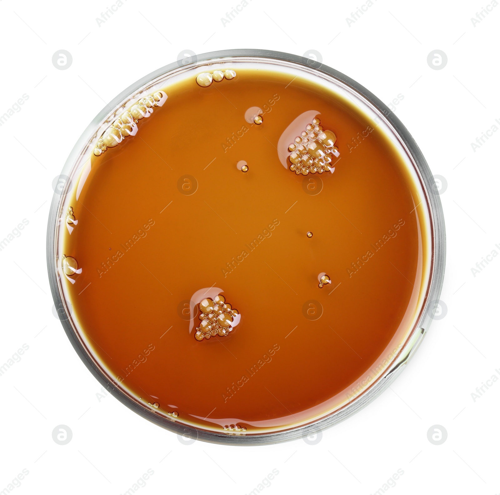 Photo of Petri dish with color liquid sample isolated on white, top view