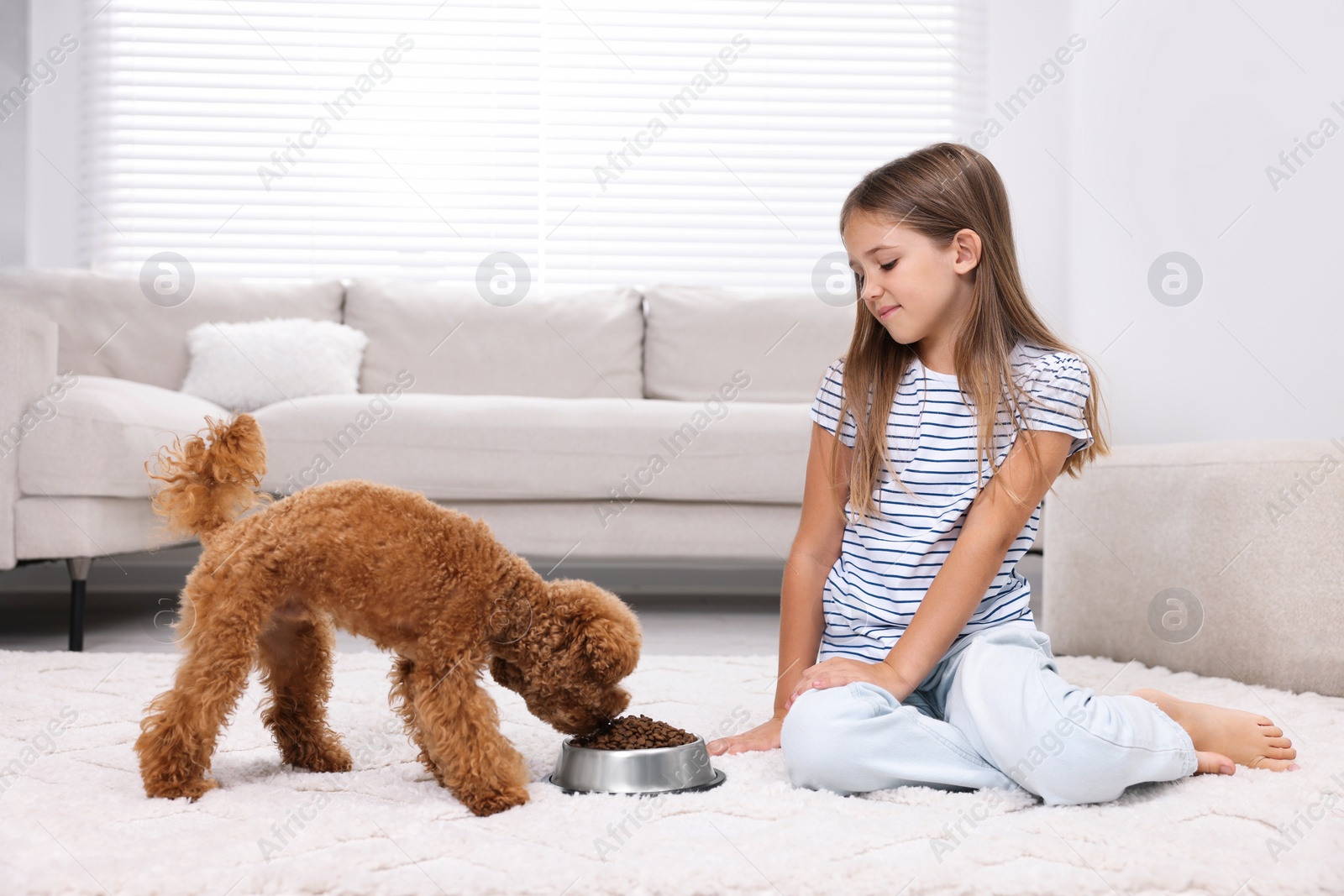 Photo of Little child feeding cute puppy on carpet at home. Lovely pet