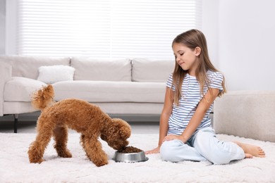 Little child feeding cute puppy on carpet at home. Lovely pet