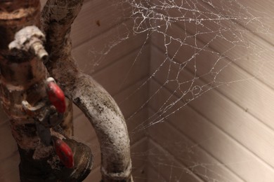 Photo of Cobweb near wall and rusty pipes of water supply indoors