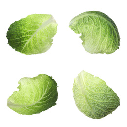 Set with fresh leaves of savoy cabbage on white background