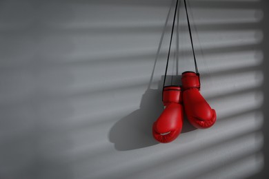 Photo of Pair of red boxing gloves hanging on light wall, space for text