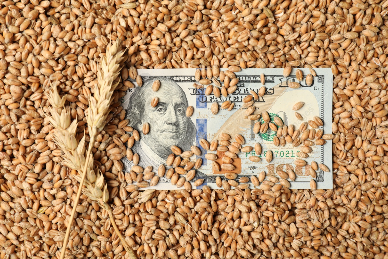 Photo of Dollar banknote and wheat ears on grains, top view. Agricultural business