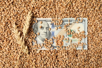 Photo of Dollar banknote and wheat ears on grains, top view. Agricultural business