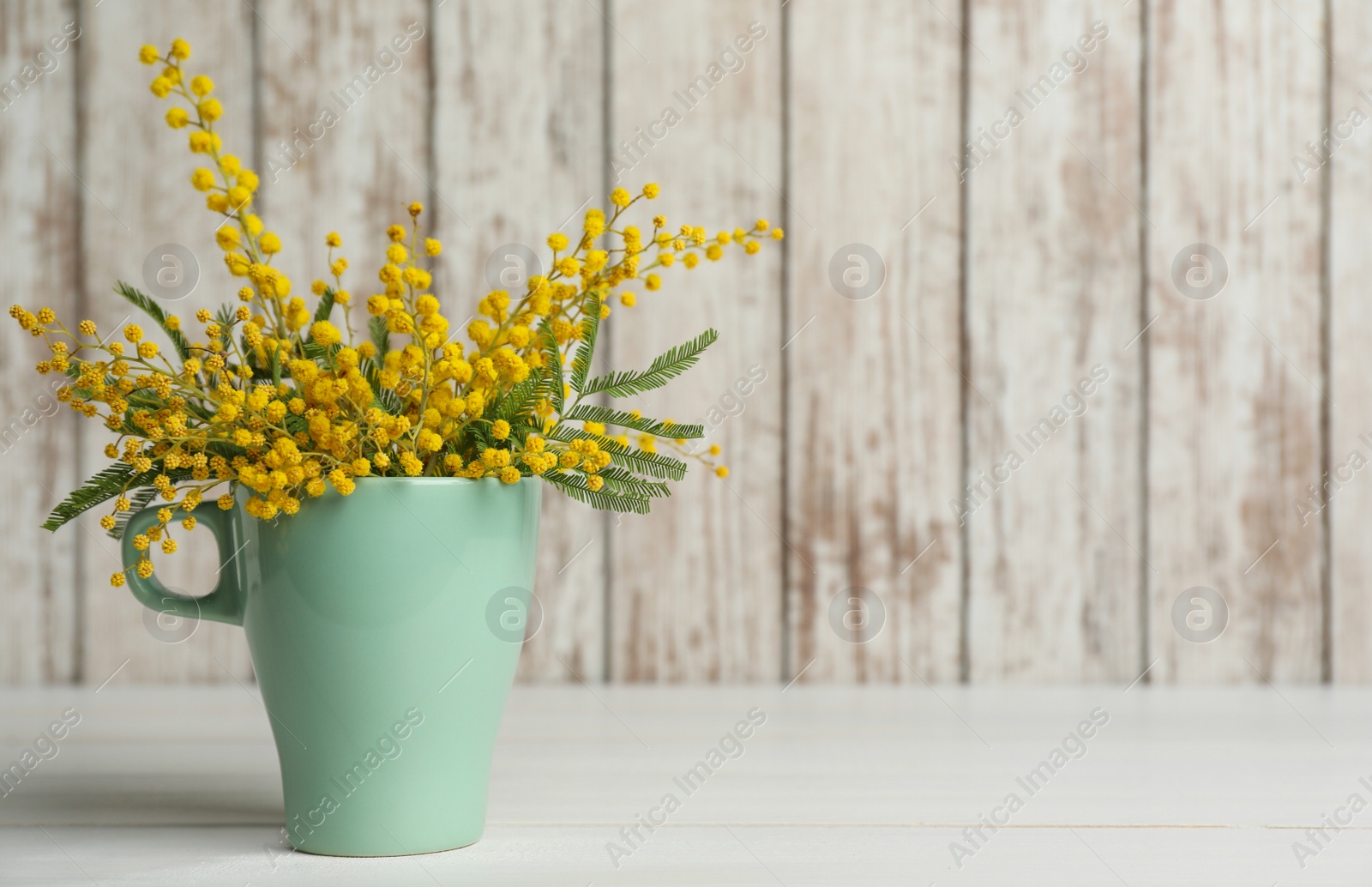 Photo of Bouquet of beautiful mimosa flowers on white wooden table. Space for text