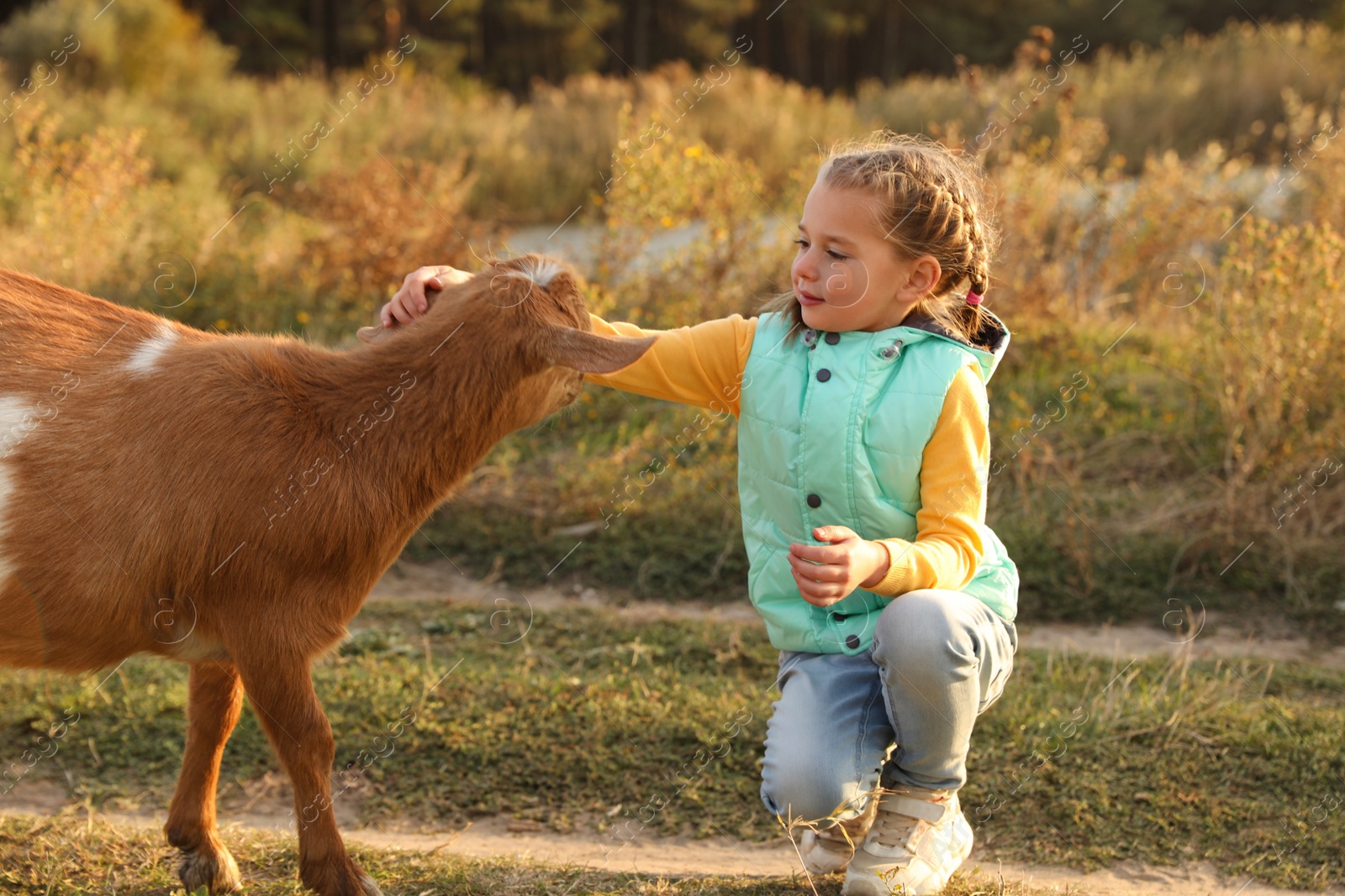 Photo of Farm animal. Cute little girl with goat on pasture
