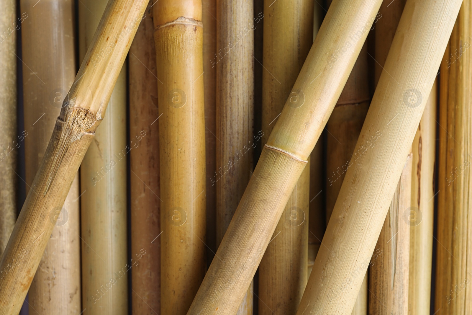 Photo of Dry bamboo sticks as background, top view