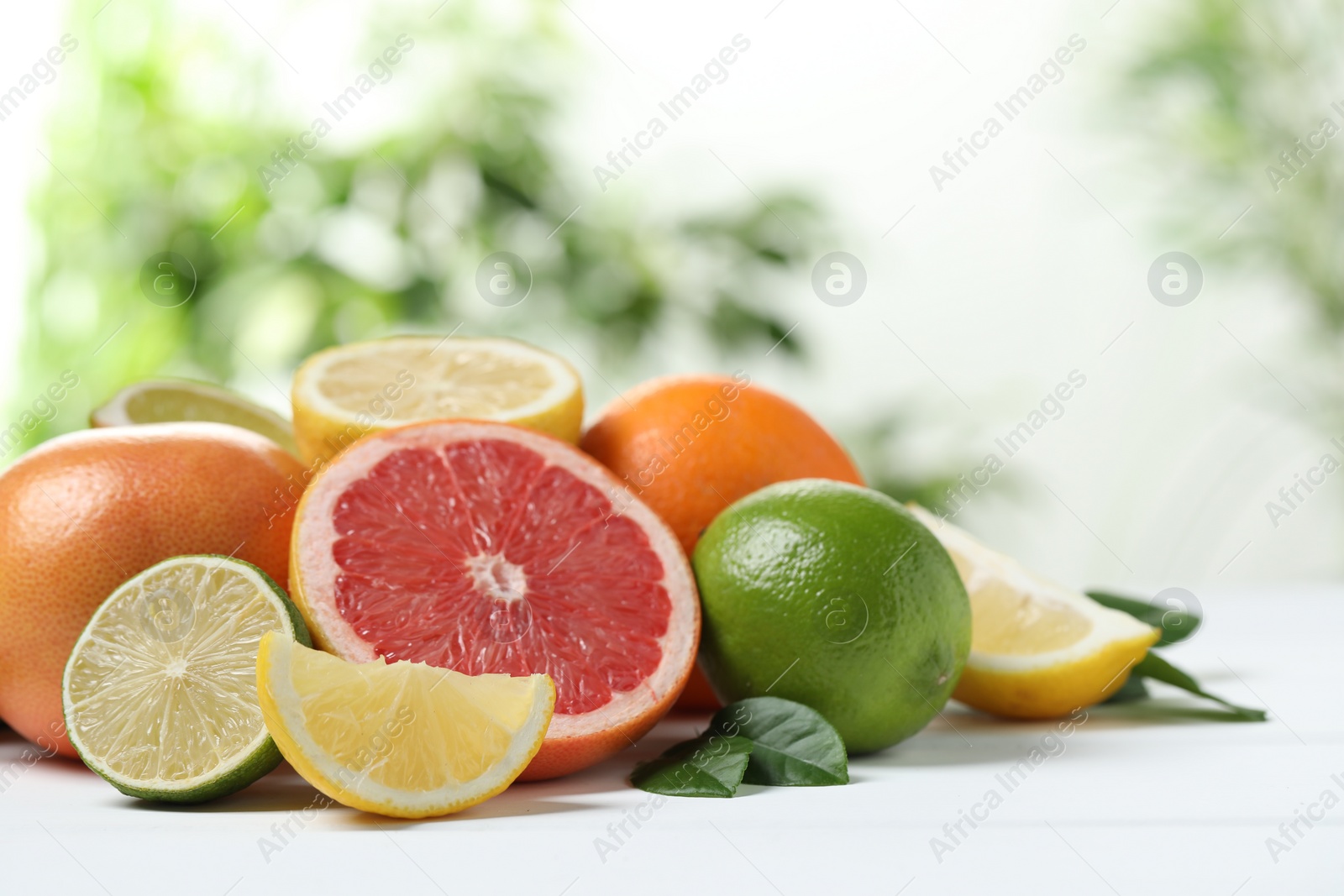 Photo of Different fresh citrus fruits and leaves on white table against blurred background, closeup