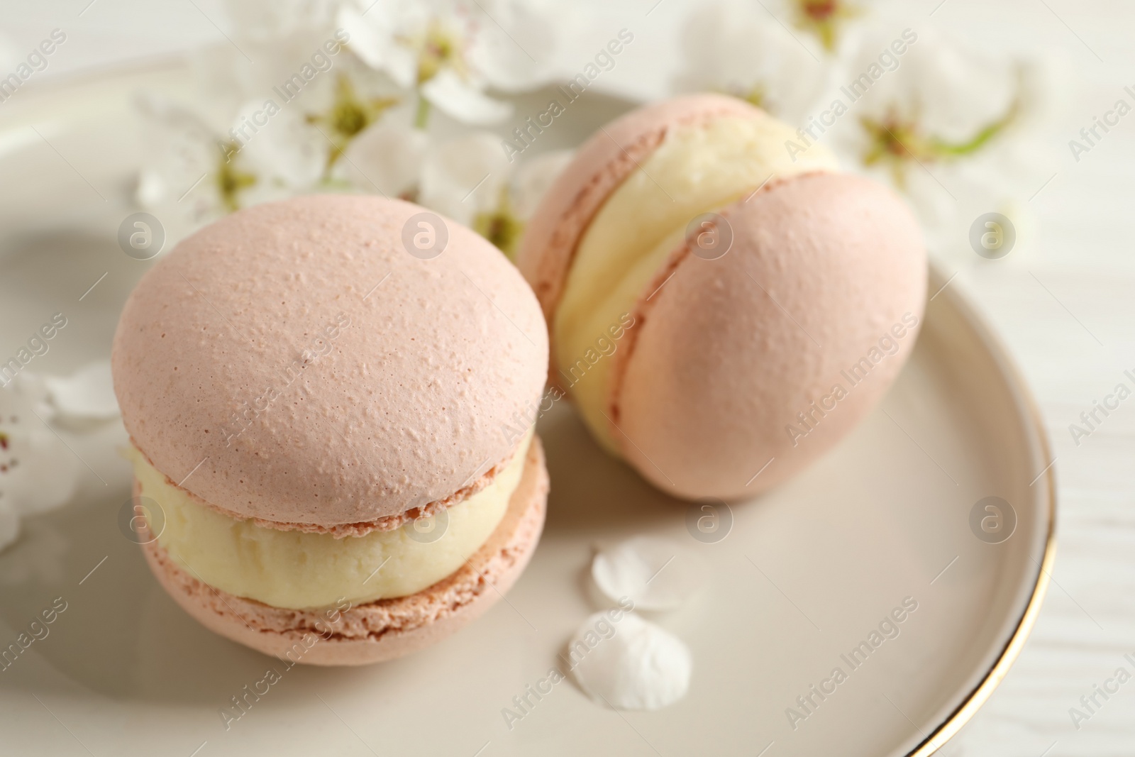 Photo of Delicious pink macarons and flowers on white table, closeup