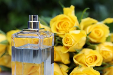 Perfume and beautiful bouquet of yellow roses, selective focus. Space for text