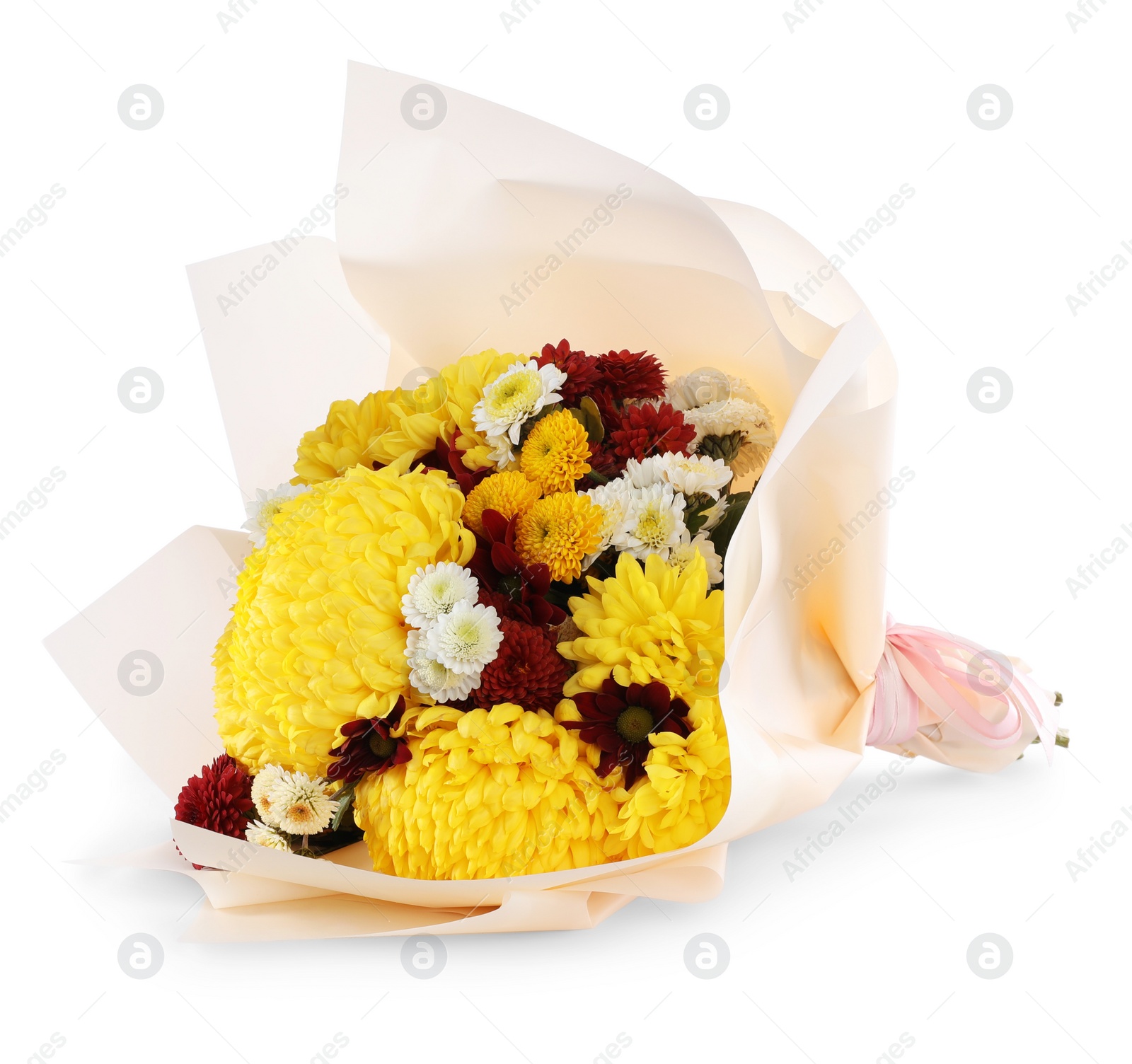 Photo of Bouquet of beautiful chrysanthemum flowers isolated on white