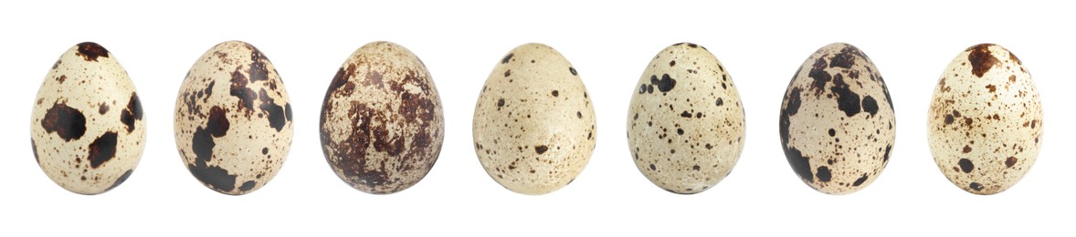 Image of Set with quail eggs on white background. Banner design