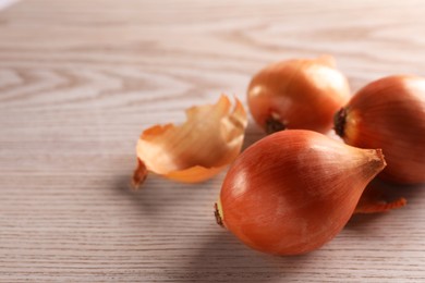 Photo of Raw ripe onions on wooden table, closeup. Space for text