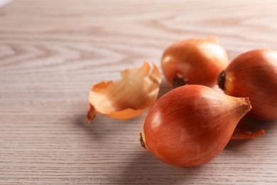 Raw ripe onions on wooden table, closeup. Space for text