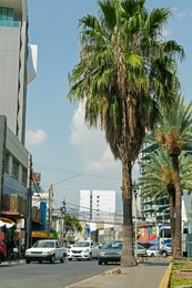 Photo of Blurred view of city street with modern buildings and palm trees