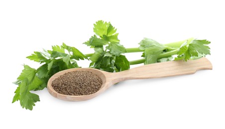 Photo of Spoon of celery seeds and fresh plant isolated on white