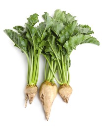 Photo of Sugar beets with leaves on white background