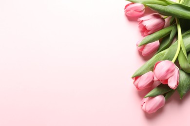 Happy Mother's Day. Beautiful tulips on pink background, flat lay. Space for text