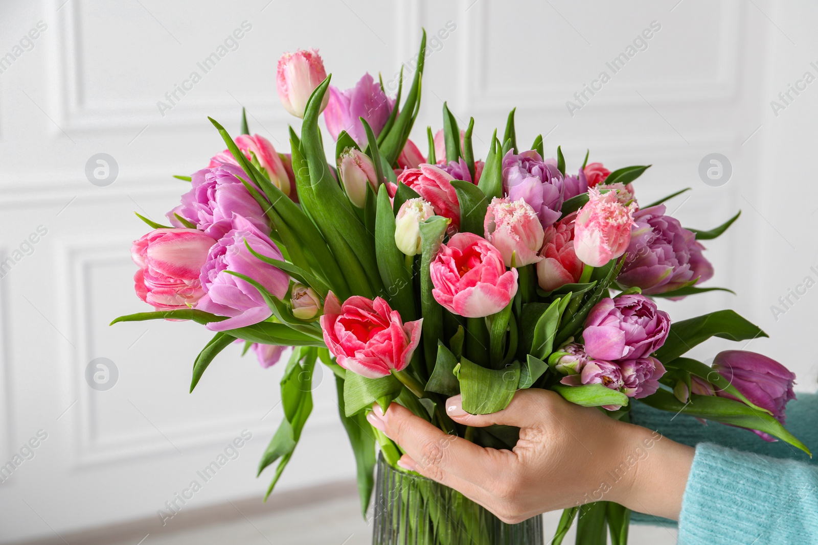 Photo of Woman putting bouquet of beautiful tulips in vase indoors, closeup