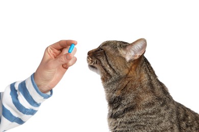 Photo of Woman giving blue pill to cute cat on white background, closeup. Vitamins for animal