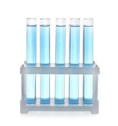 Test tubes with light blue liquid in rack isolated on white