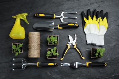 Flat lay composition with gardening tools and green plants on black background