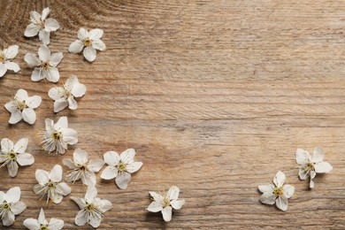 Photo of Beautiful cherry blossoms on wooden table, flat lay. Space for text