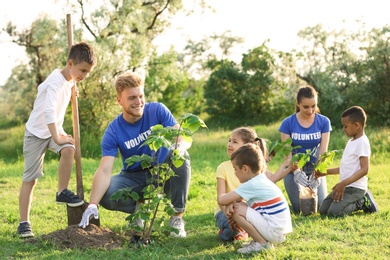 Photo of Kids planting trees with volunteers in park