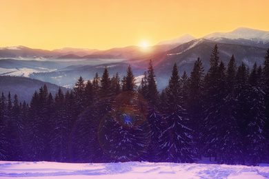 Image of Beautiful mountain landscape and snowy forest in winter