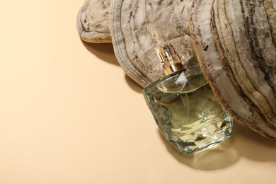 Photo of Luxury perfume in bottle and decorative element on beige background, space for text