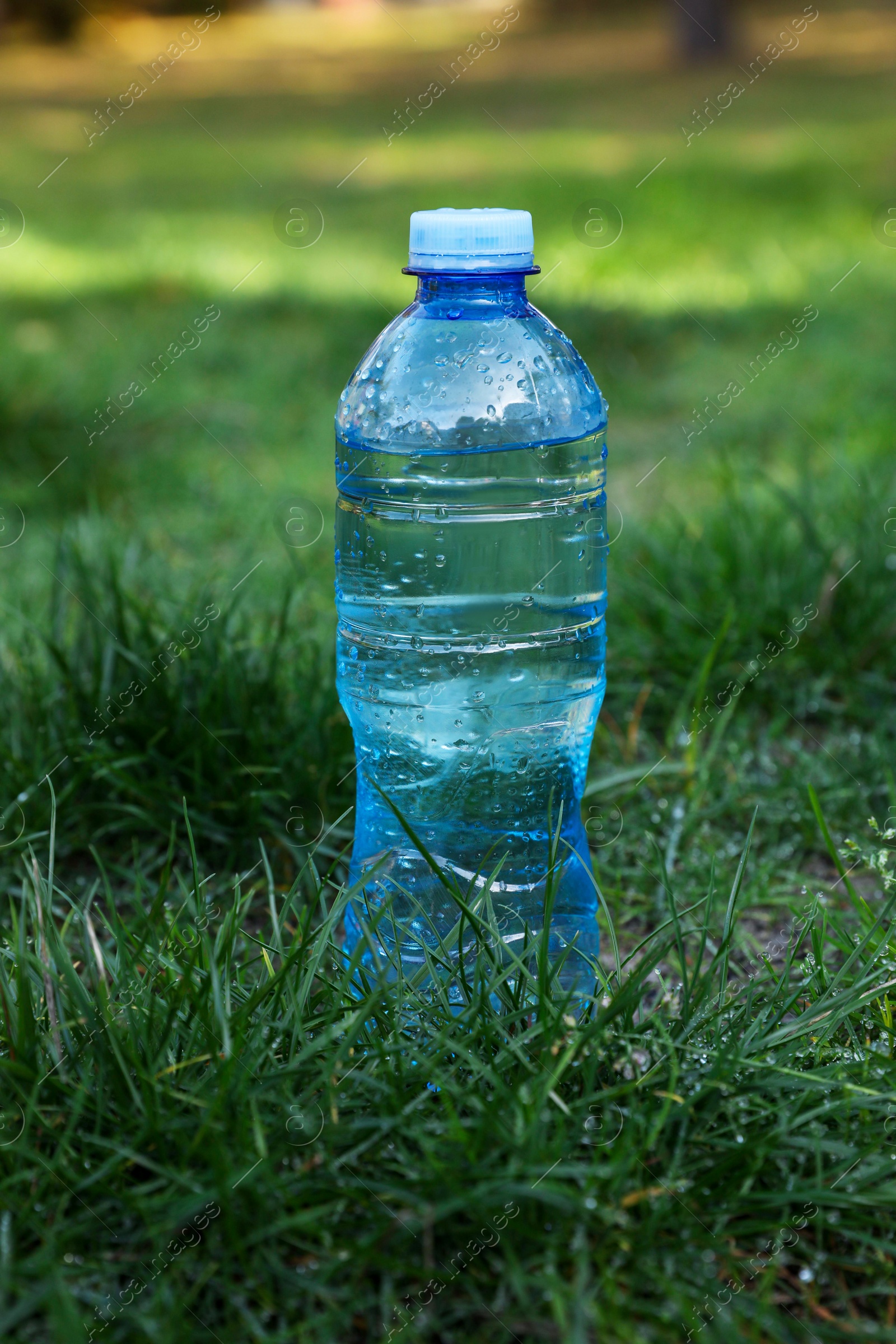 Photo of Plastic bottle of water on green grass outdoors