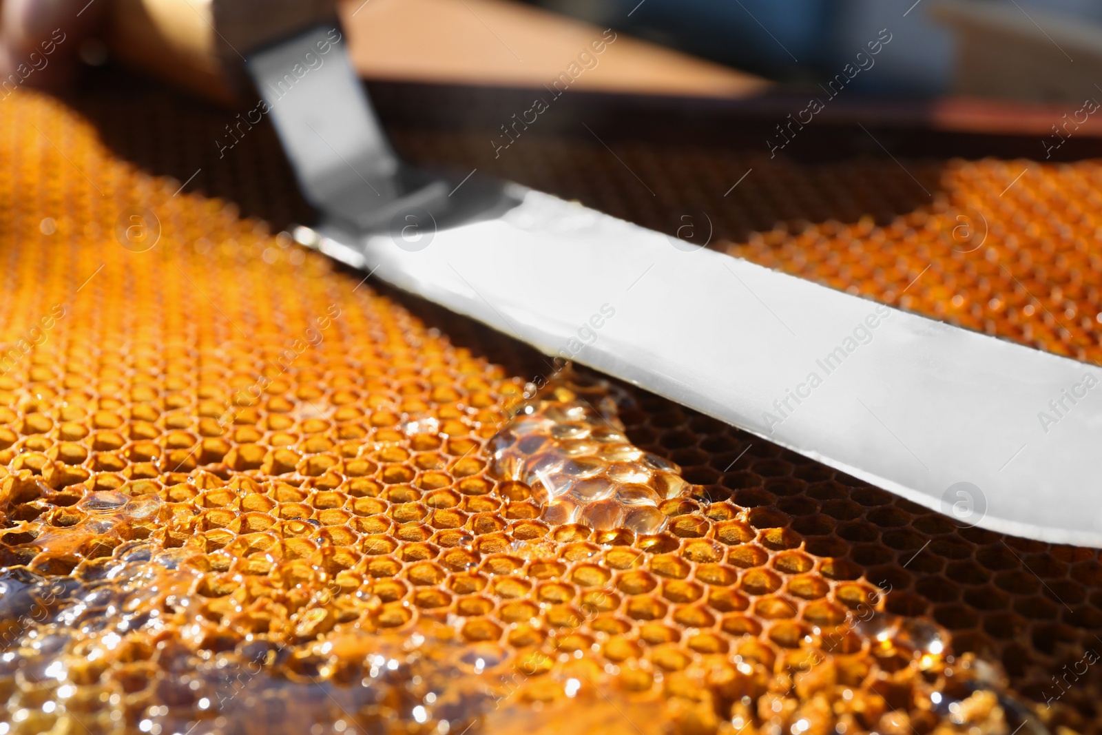 Photo of Uncapped comb with knife and fresh sweet honey, closeup