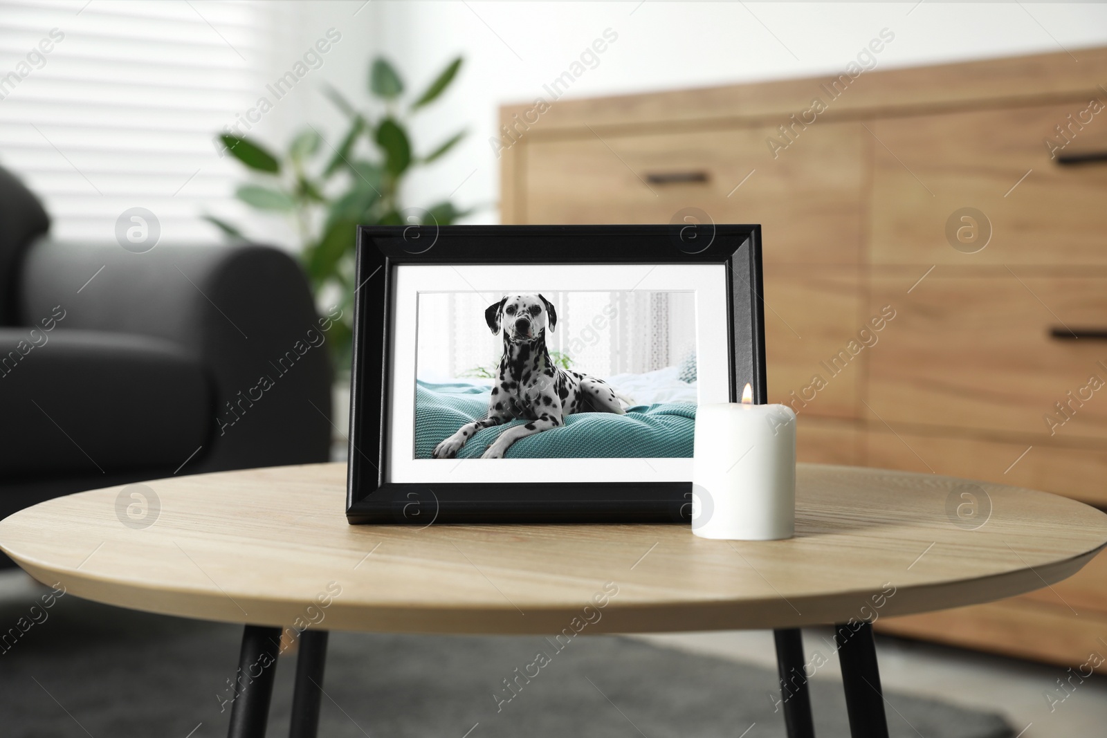 Photo of Frame with picture of dog and burning candle on wooden table indoors. Pet funeral