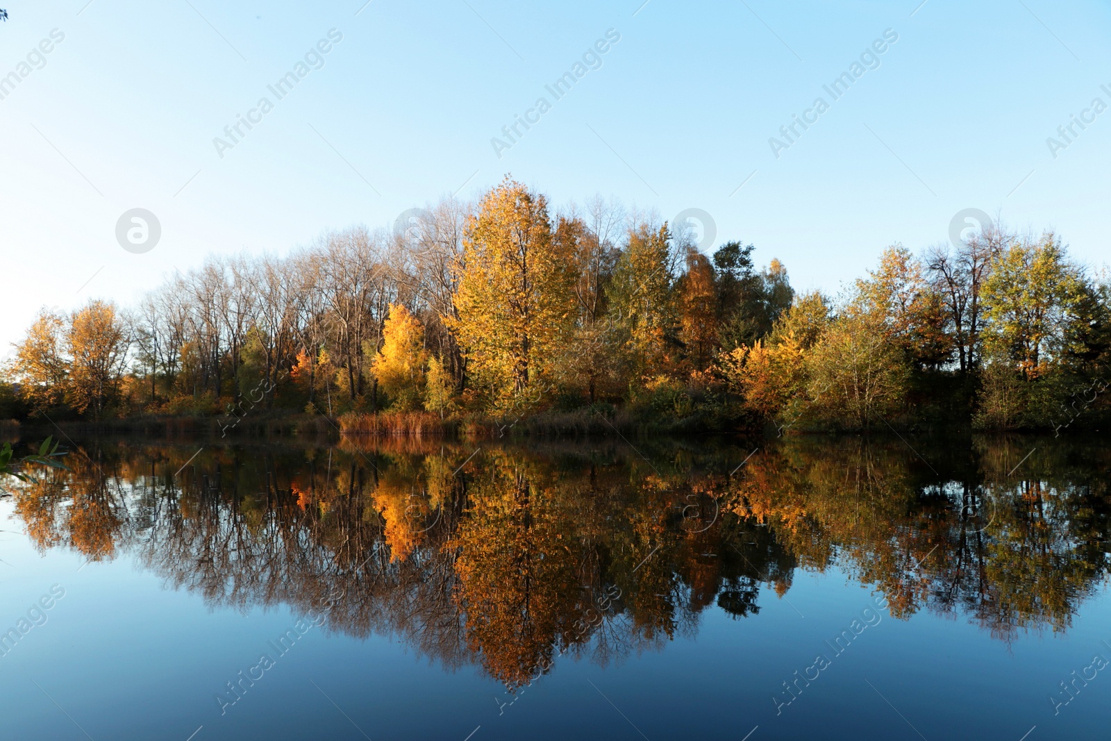 Photo of Picturesque view of lake and trees on autumn day