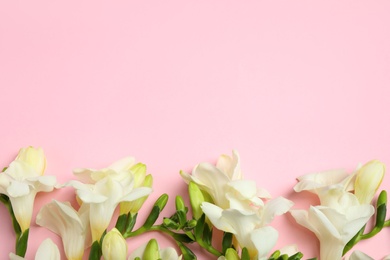 Photo of Beautiful freesia flowers on light pink background, flat lay. Space for text