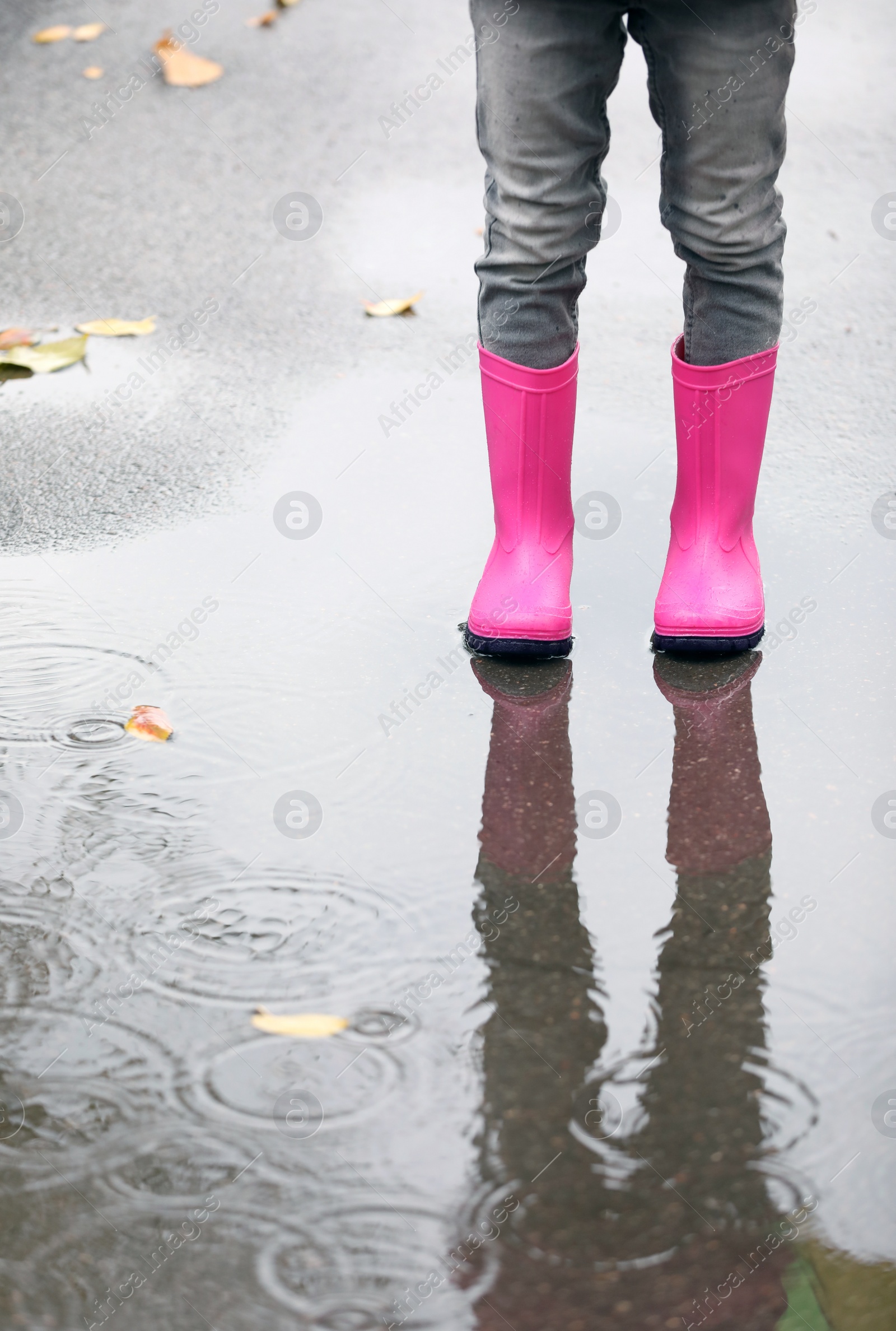 Photo of Little girl wearing rubber boots standing in puddle on rainy day, focus of legs. Autumn walk