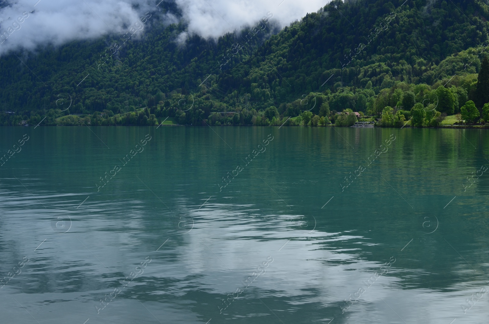 Photo of Picturesque view of beautiful river and green forest in mountains