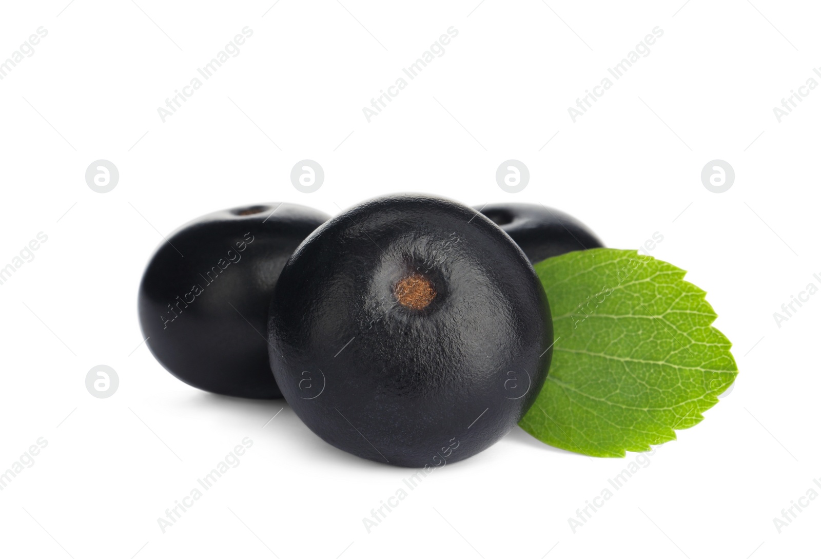 Photo of Fresh ripe acai berries and green leaf on white background