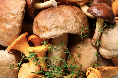 Photo of Different fresh wild mushrooms as background, top view