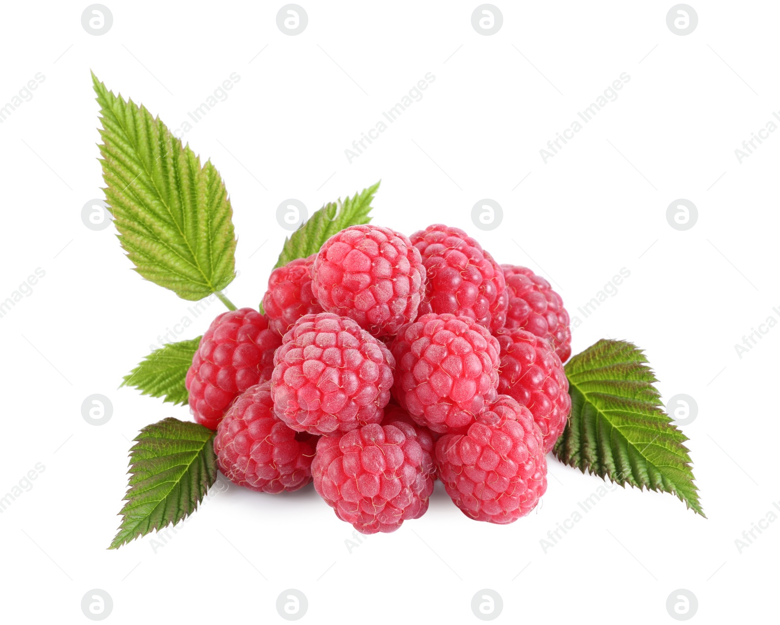 Photo of Many fresh ripe raspberries and green leaves isolated on white