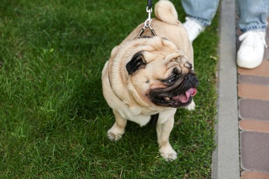 Photo of Woman walking with her cute pug on lawn outdoors, closeup