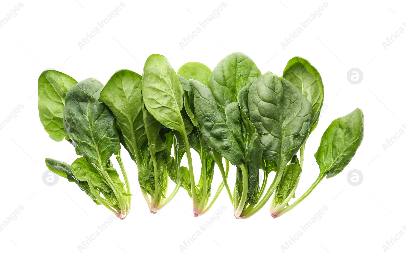 Photo of Fresh green healthy spinach leaves isolated on white, top view