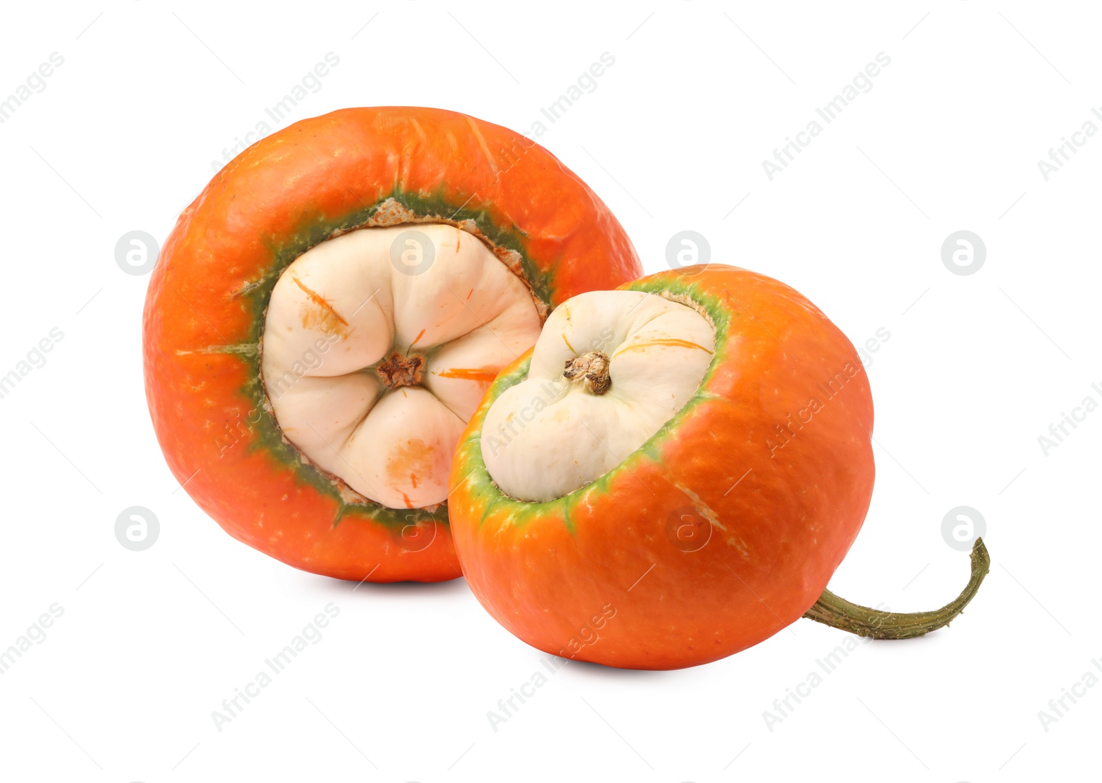 Photo of Two fresh ripe pumpkins isolated on white